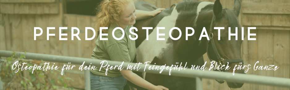 Weißes Pferd im Wald mit dem Text "Pferdeosteopathie" darunter.