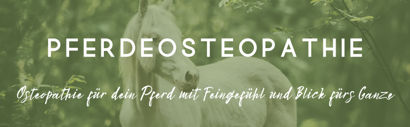 Weißes Pferd im Wald mit dem Text "Pferdeosteopathie" darunter.